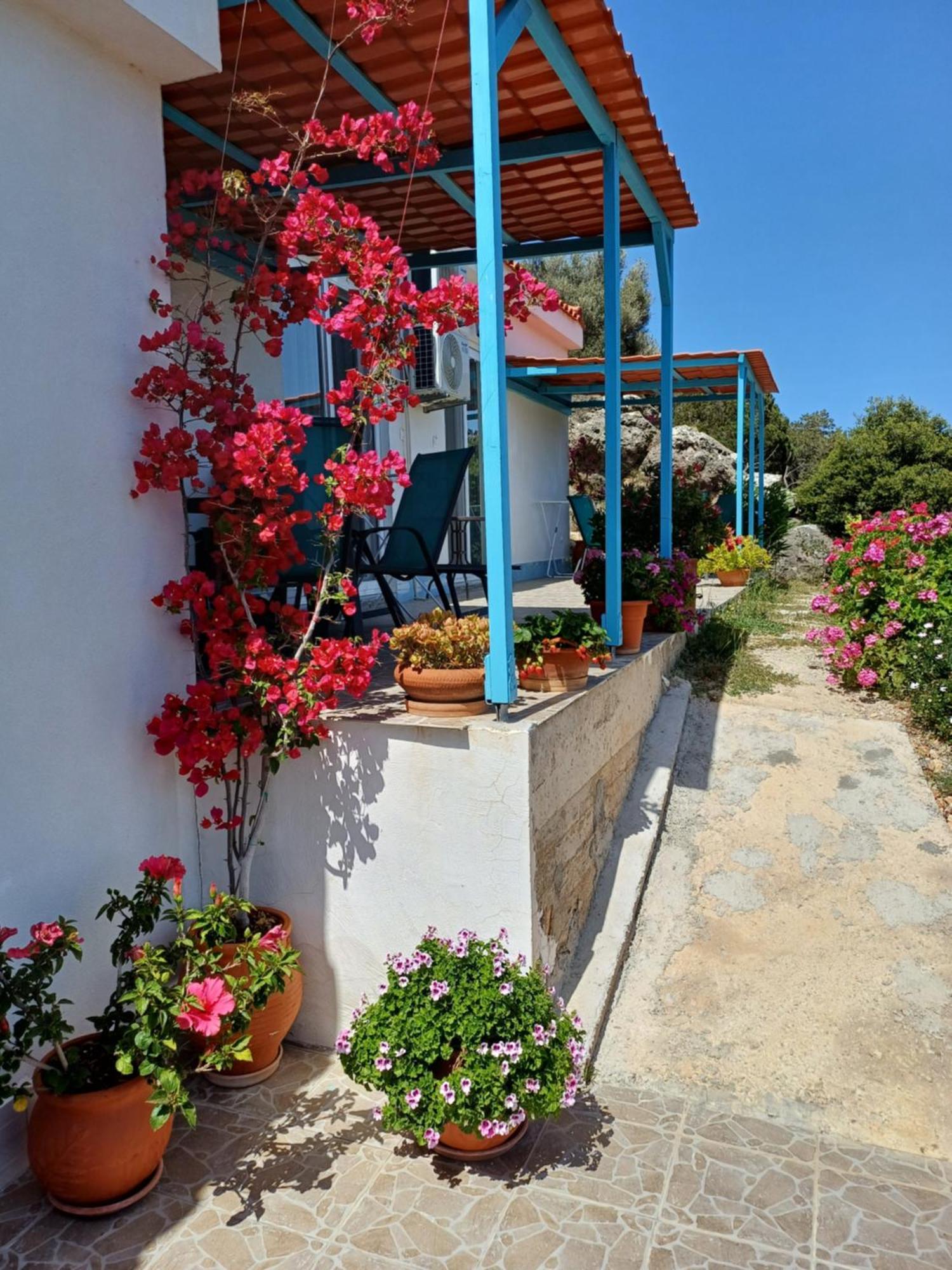 Hari Apartments Vathi, Agios Nikolaos Crete المظهر الخارجي الصورة